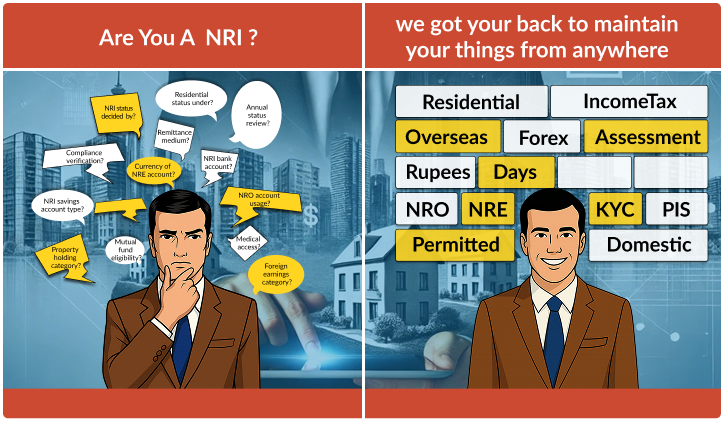 Feedback NRI Visual